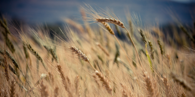 How Great Pastors Learn “Not to Care”