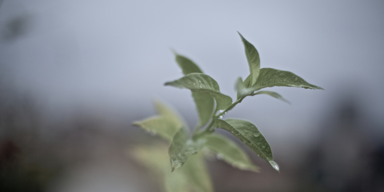 5 Emerging Traits of the Most Successful Church Planting